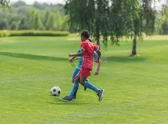 西北农林科,技大学植物,免疫研究团,足彩,体彩,彩票,体育彩票,足球彩票,彩票合买,乐发彩票