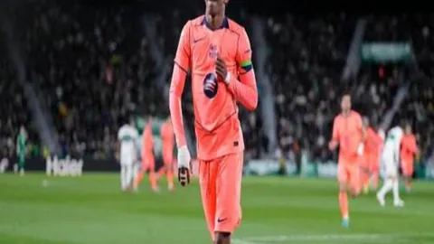 大乐透期号专家质合分析推荐前区十码：快船对阵尼克斯