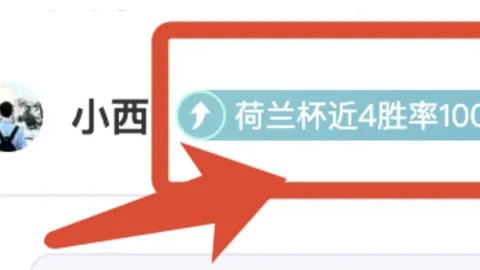 沙尔克04主场对阵比勒菲尔德：专家解析大乐透期号质合推荐